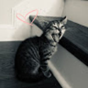 Meet your Posher, Lainey